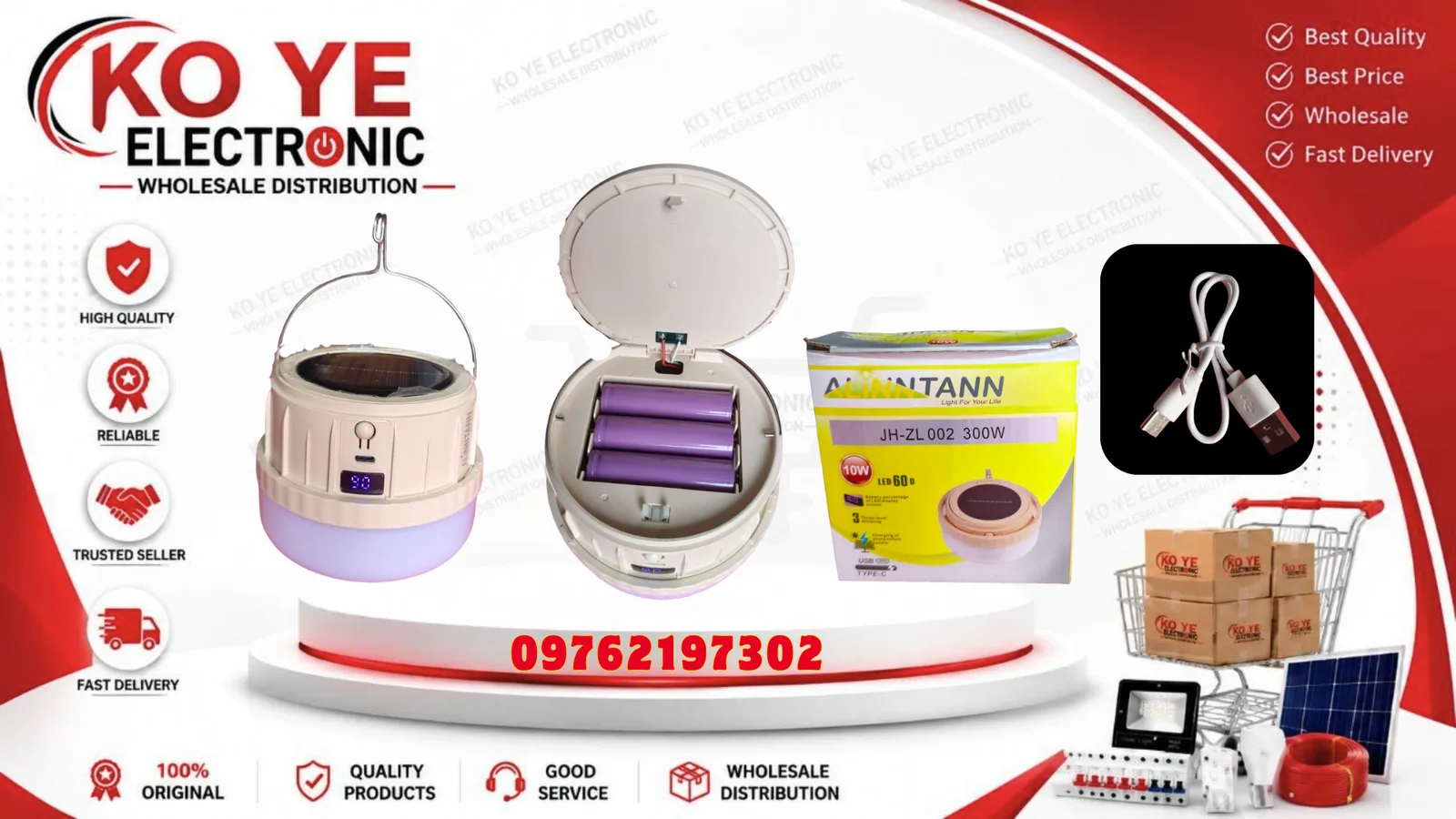 ALINNTANN 10W ဆိုလာပါ အားသွင်းမီးလုံး