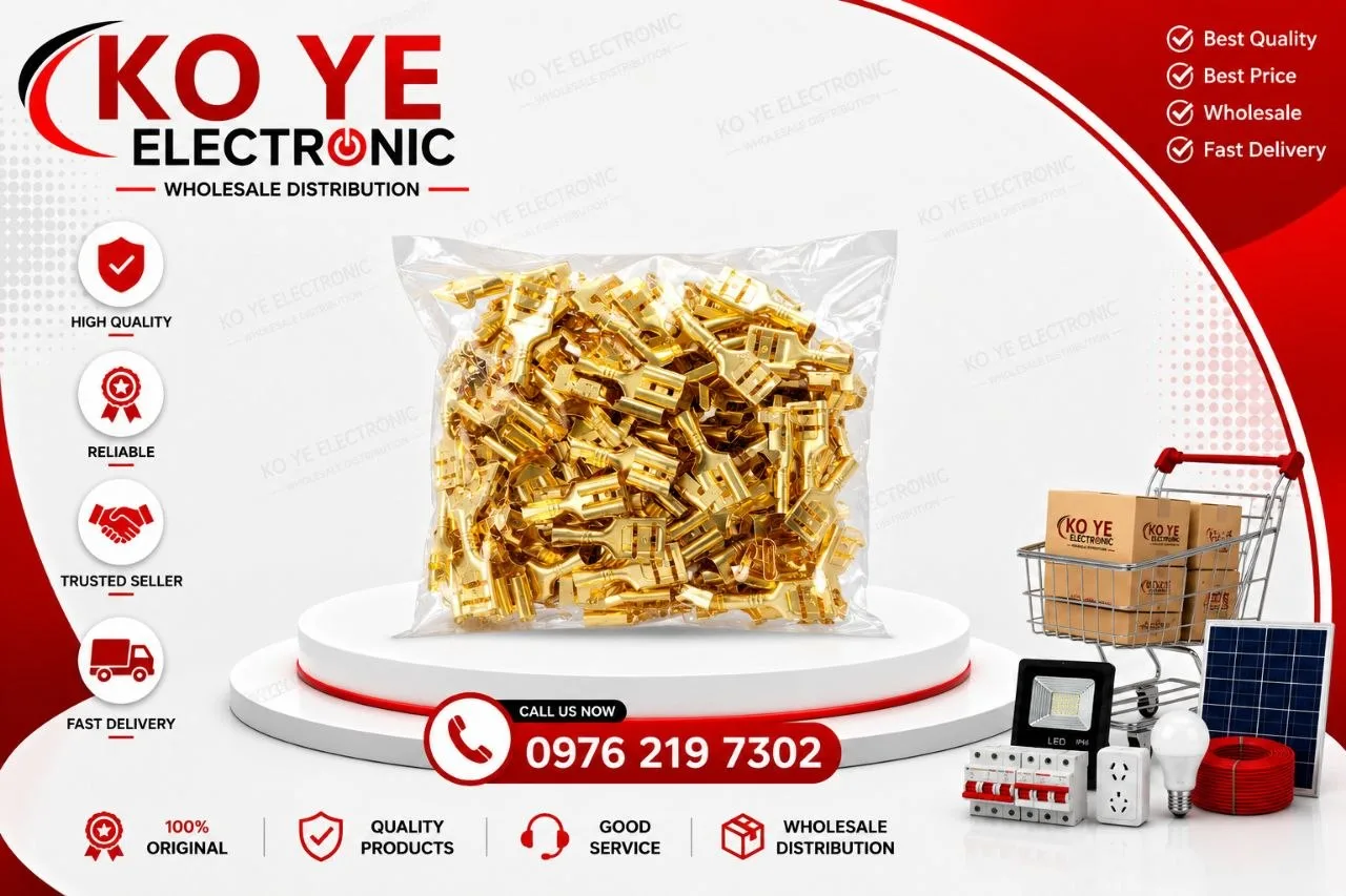 Brass Wire Terminals Pack (ကလစ်အကြီး/ကလစ်အသေး/ဂွင်းအလွတ်)