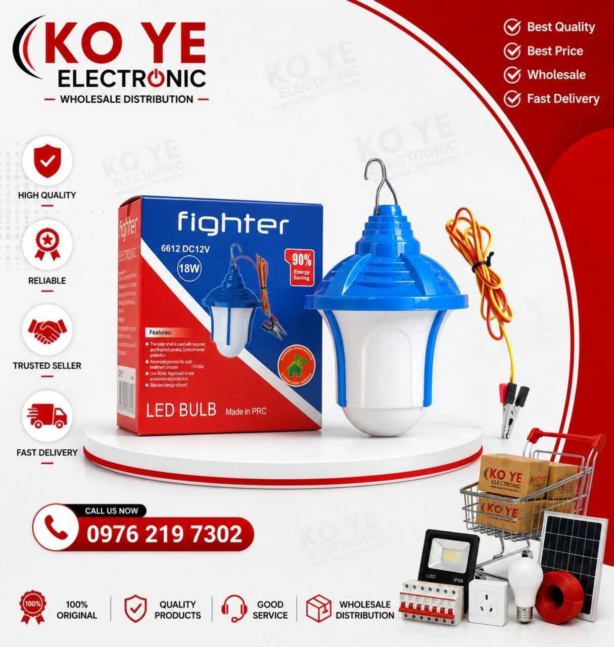 Fighter DC 12V LED မီးလုံးများ