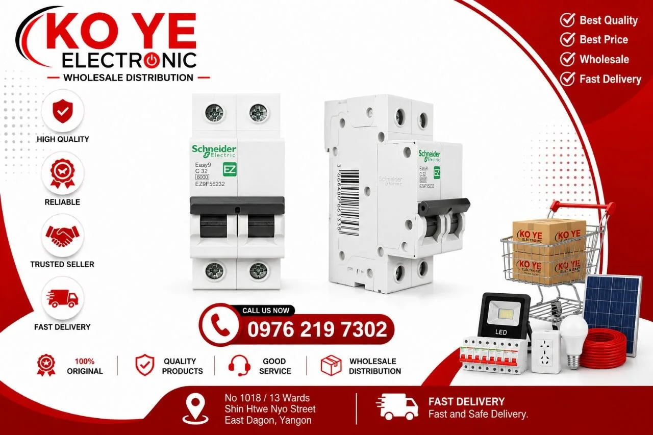 Schneider Easy9 2P MCB (20A - 63A)