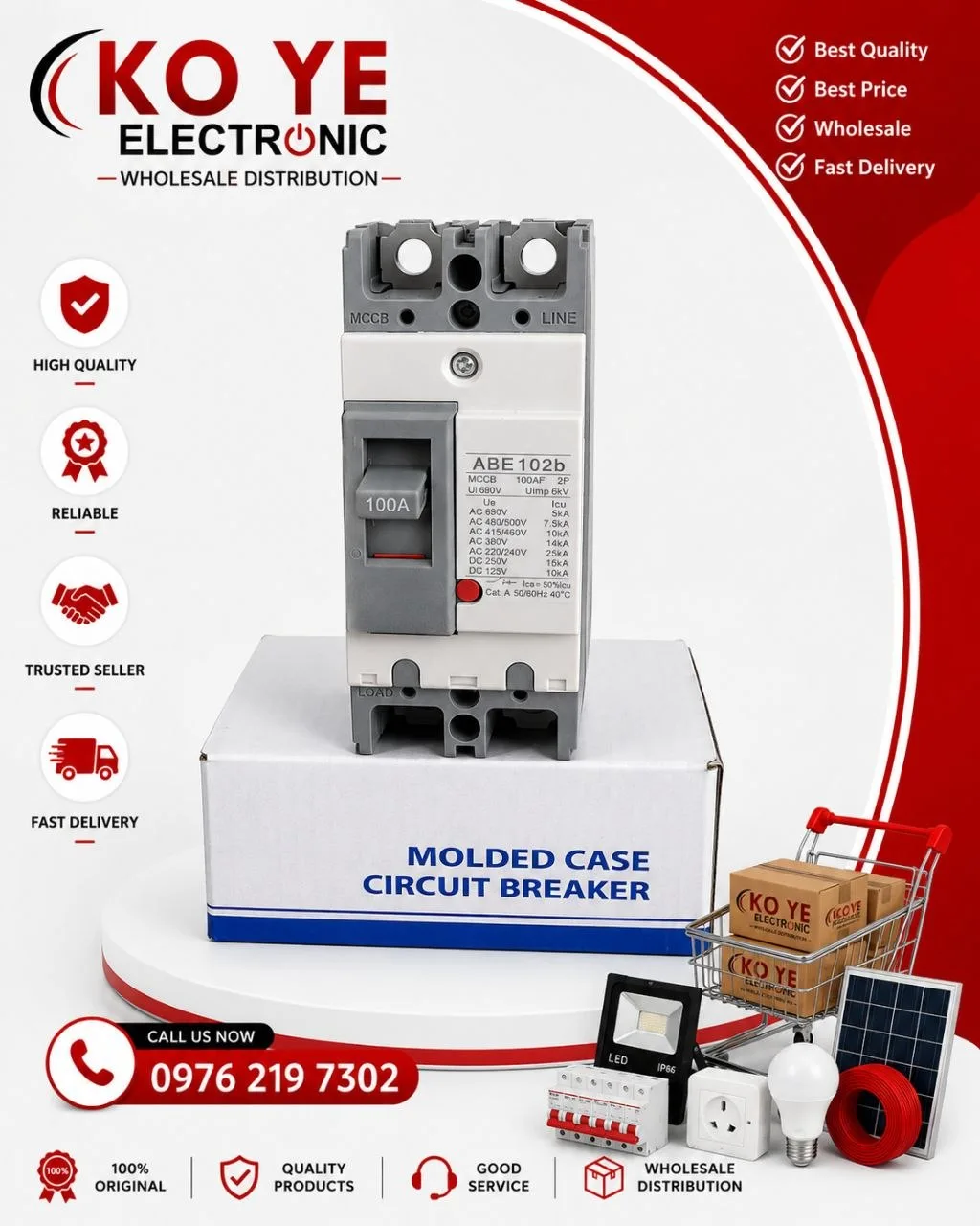 LS 2P MCCB Breaker (60A / 100A)