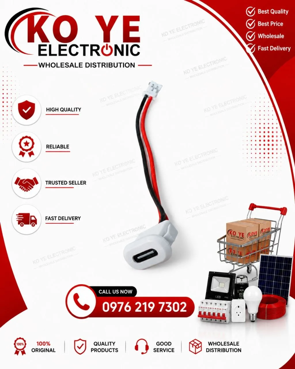 Type-C Female Panel Mount Cable - White (Type C အထိုင် ကြိုးပါ အဖြူ)