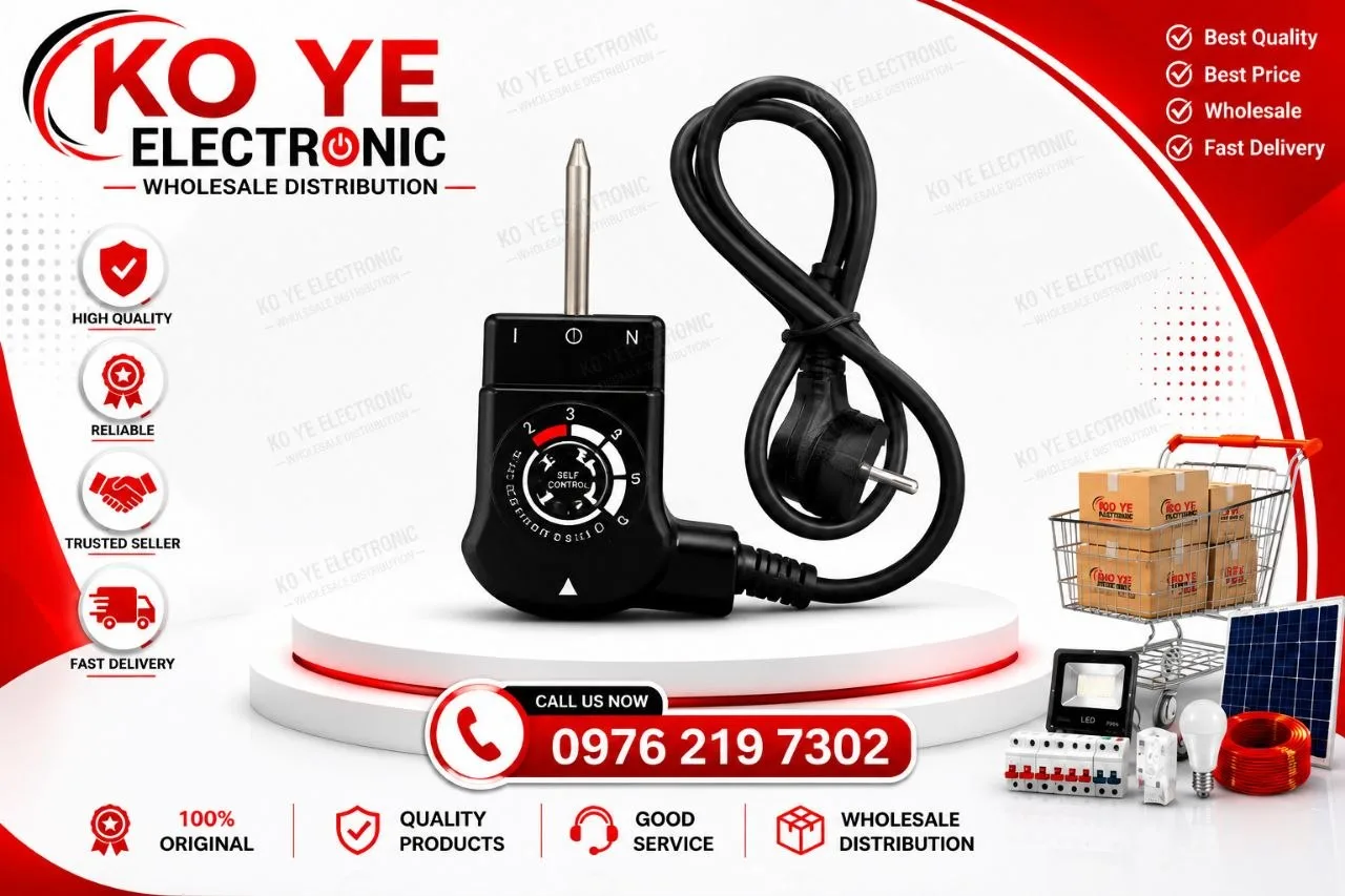 Electric Pan Power Cable (ဒယ်စိမ်းကြိုး)